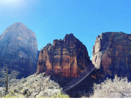 photo of zion national park 
