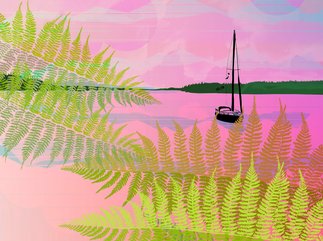 Illustration of the peaceful Sound Puget Sound in the pink sunset, beyond the forest and ferns.