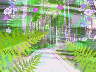 A calming, sunlit pathway through the evergreen trees, ferns and flowers.