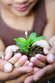 child holding soil with plant