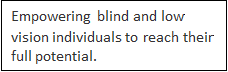 Graphic text: "Empowering blind and low vision individuals to reach their full potential."