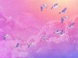 Illustration of a flock of seagulls surrounded by clouds, in the pink and purple sunset, fly toward the setting sun.