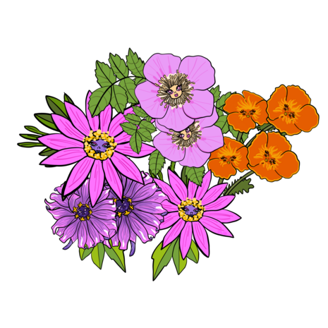 Colorful, illustrated wildflowers with sassy faces and expressions, featuring: Apple Rose, California Poppies, Zion Blue Dream and African Daisies. 