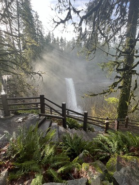 Photo of steps by a waterall