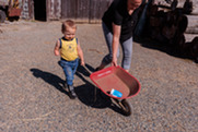 Boy with wheelbarrow