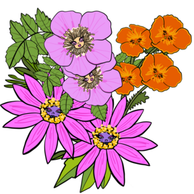  Colorful, illustrated wildflowers with sassy faces and expressions, featuring: Apple Rose, California Poppies and African Daisies.