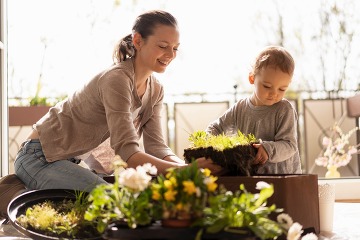 Mother and daughter planting flowers together on balcony