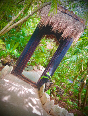 door thats open surrounded by greenery 