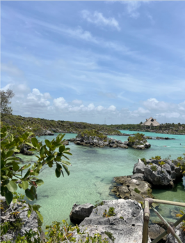 photo of the ocean with rocks and some greenery 