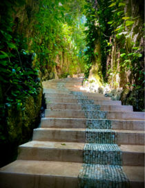 photo of staircase with greenery around it 