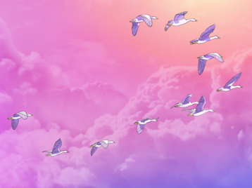 Illustration of a flock of seagulls surrounded by clouds, in the pink and purple sunset, flying toward the setting sun.