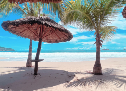 photo of a beach with palm trees