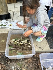 child with nature box