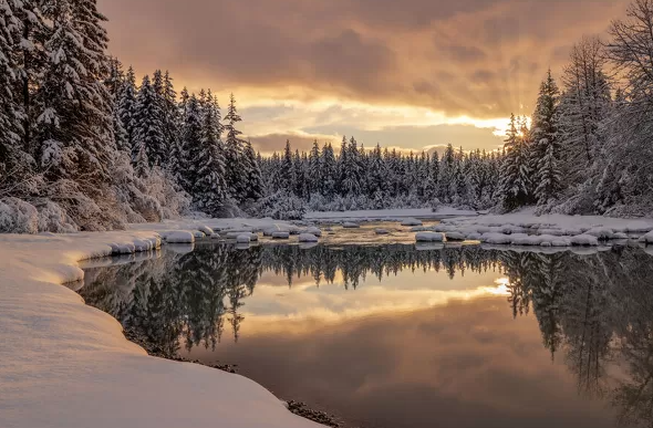 photo of a lake surrounded by trees during the winter