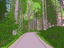 Illustration of a calming pathway through the evergreen trees, ferns and flowers.