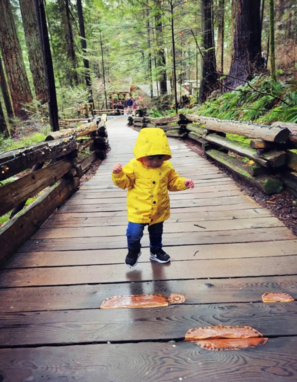 boy in a yellow rain coat walking through a forest