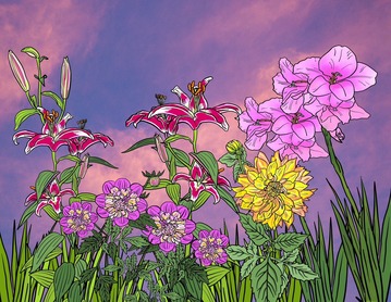 Illustration of August blooms: yellow and pink dahlias, red lilies and magenta eastern gladiolus.