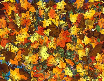 Illustration of an aerial view of the ground filled freshly fallen autumn leaves, in bright red, orange, yellow and shades of brown.