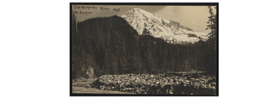 Beautiful vintage 1909 postcard of the Nisqually River, a lush tree line and Mt. Rainier (aka Mt. Tahoma) towering over, on a clear day.