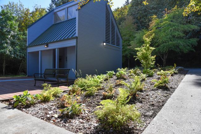 Photo that shows shorter plantings near the restroom building.