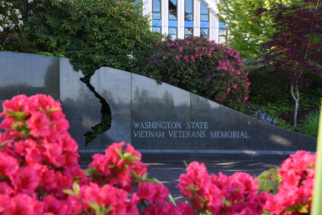 A photograph of a portion of the Vietnam Veterans Memorial, with flowers blooming in the foreground. 