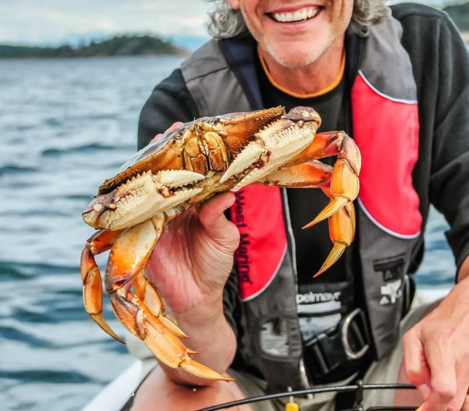 Dungeness crab catch record cards due soon