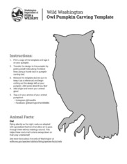 Wild Washington Pumpkin Template