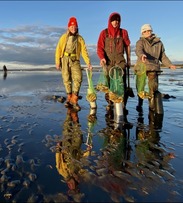 razor clamming