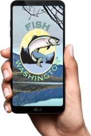 Image of Fish Washington mobile app displayed on a mobile phone. 