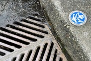 Image of storm drain with an emblem about Puget Sound conservation. 