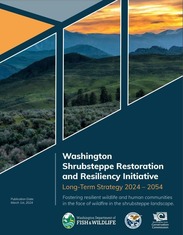 Cover art for the WSRRI report 