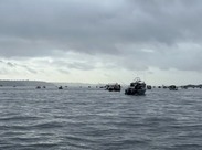 Salmon anglers fishing for Chinook salmon off Point Defiance Park in Tacoma during the Marine Area 11 (Tacoma-Vashon Island) opener on June 5, 2024. 