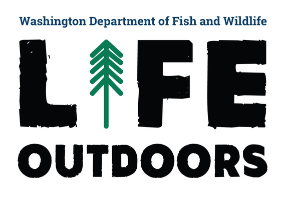 Life Outdoors Logo