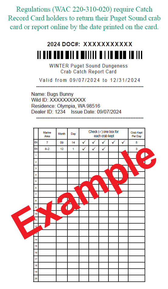 2024 winter crab catch reporting card