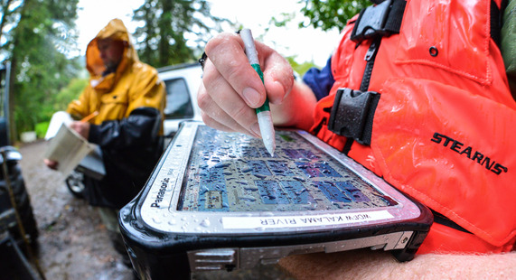 Electronic fisheries data collection 