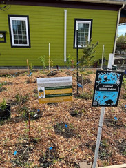 Habitat at home garden