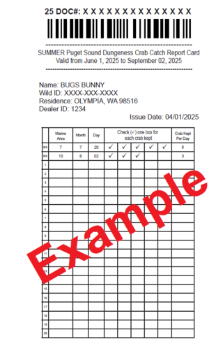 A mock 2025 summer Dungeness crab catch record card