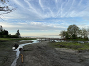 An estuary with the ocean in the background