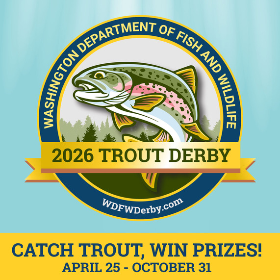 The WDFW Trout Derby logo with a jumping rainbow trout below the agency name in a circular border and above a banner that says 2026 trout derby