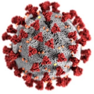 COVID-19 virus illustration