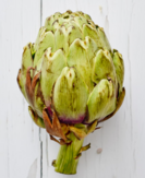 artichoke on white counter