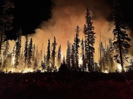 wildfire at night 