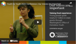 Screenshot from homeless youth summit