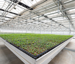 Qualterra greenhouse