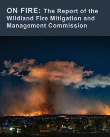 Cover of Wildland Fire Mitigation and Management Report