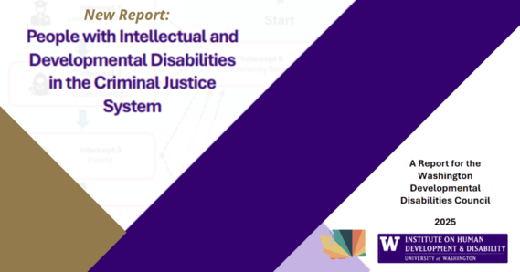 Header for New Report Highlights Justice System Barriers for People with IDD. 