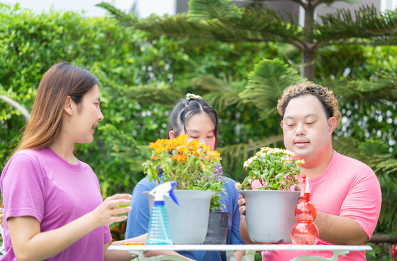 A group of friends take care plants in garden, spraying beautiful flowering plants with water
