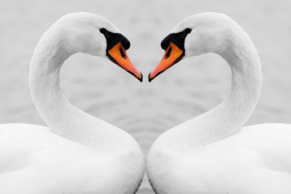 Two Doses are Key image