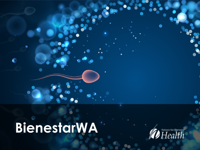 Imagen del óvulo fertilizante de espermatozoides