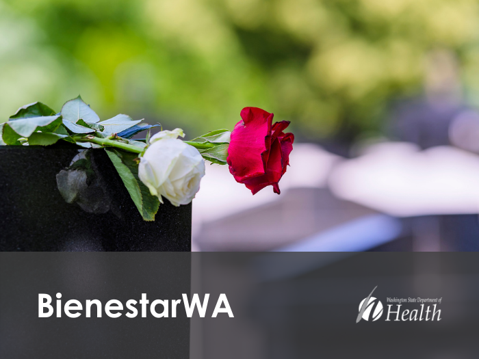 Rosas sentadas en una lápida en un cementerio.